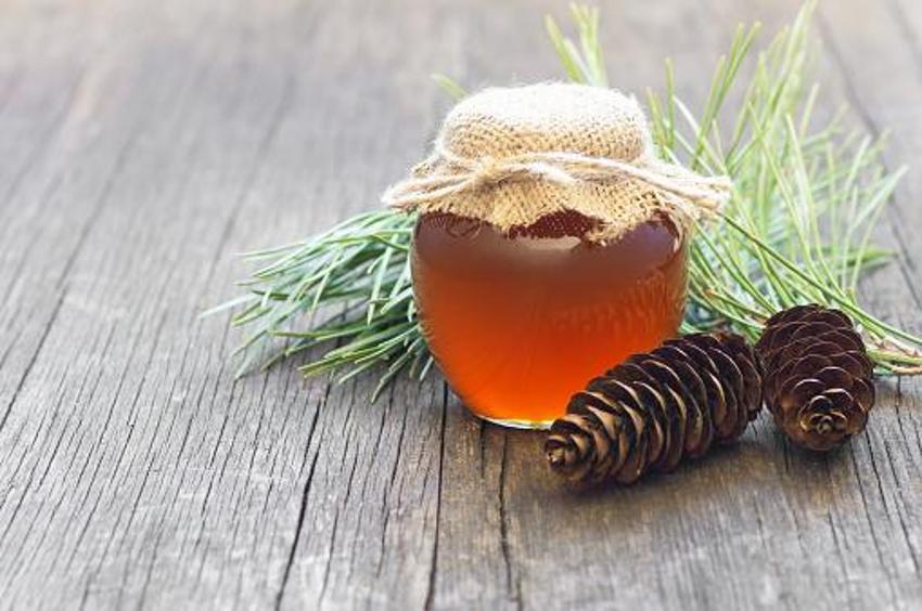 Astım ve bronşit için doğal şifa! İltihap ve enfeksiyon ile savaşıyor, öksürük önleyici, balgam söktürücü... Günde iki kaşığı yetiyor, C, K, B vitaminleri...