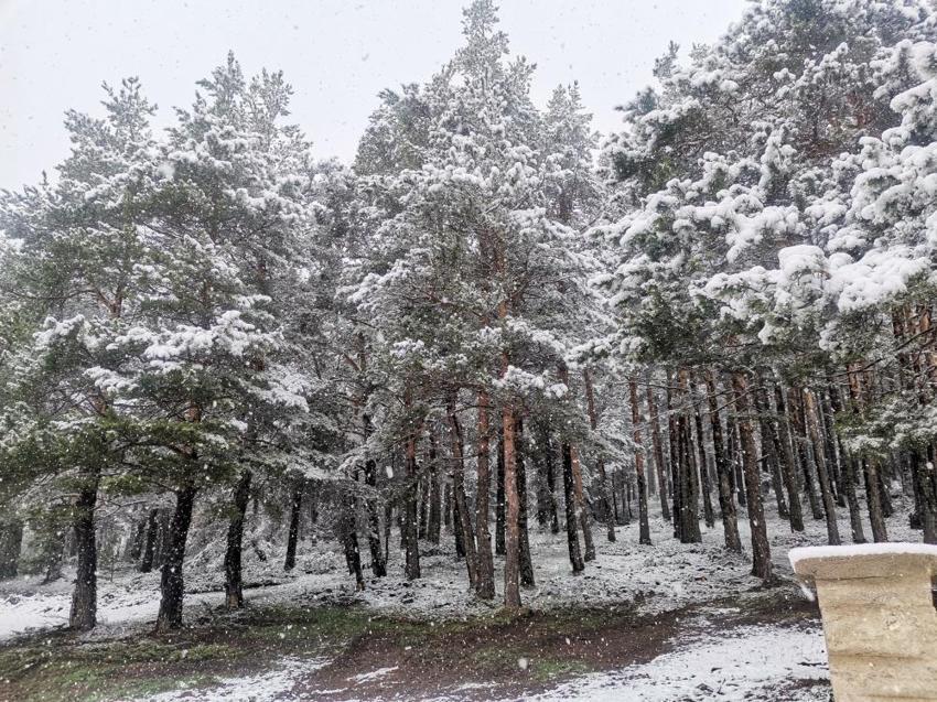 Mayısta kuvvetli kar yağışı açıklaması! 41 il için Meteoroloji'den son dakika uyarısı geldi! Günlerce sürecek, tarih verildi...