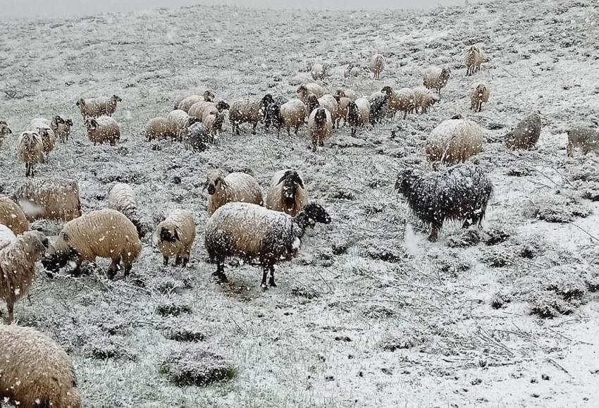 Mayısta kuvvetli kar yağışı açıklaması! 41 il için Meteoroloji'den son dakika uyarısı geldi! Günlerce sürecek, tarih verildi...