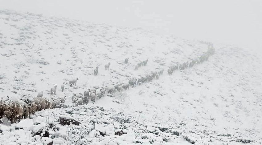 Mayısta kuvvetli kar yağışı açıklaması! 41 il için Meteoroloji'den son dakika uyarısı geldi! Günlerce sürecek, tarih verildi...