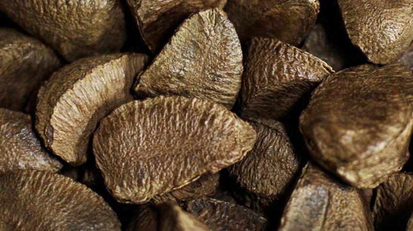 Testosteron düzeyini artırıyor, kellik tedavisinde kullanılıyor! Kalp sağlığında çok etkili, tam bir selenyum zengini, yüksek protein kaynağı... 