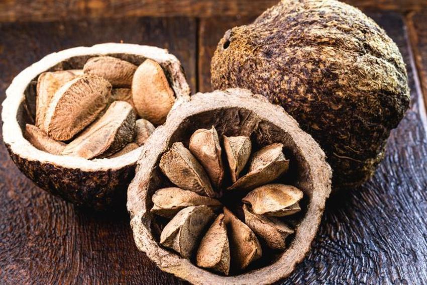 Testosteron düzeyini artırıyor, kellik tedavisinde kullanılıyor! Kalp sağlığında çok etkili, tam bir selenyum zengini, yüksek protein kaynağı... 