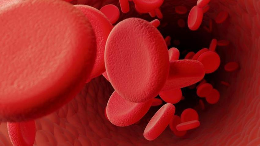 Testosteron düzeyini artırıyor, kellik tedavisinde kullanılıyor! Kalp sağlığında çok etkili, tam bir selenyum zengini, yüksek protein kaynağı... 