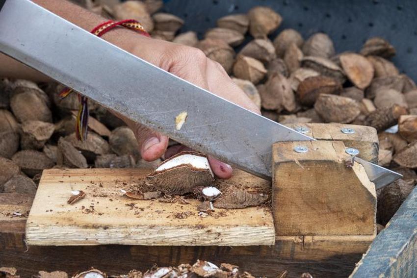 Testosteron düzeyini artırıyor, kellik tedavisinde kullanılıyor! Kalp sağlığında çok etkili, tam bir selenyum zengini, yüksek protein kaynağı... 