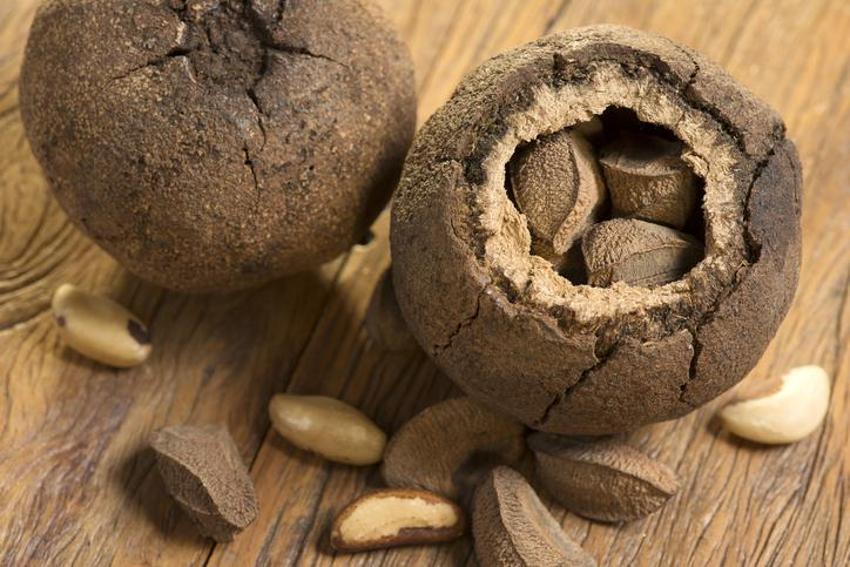 Testosteron düzeyini artırıyor, kellik tedavisinde kullanılıyor! Kalp sağlığında çok etkili, tam bir selenyum zengini, yüksek protein kaynağı... 