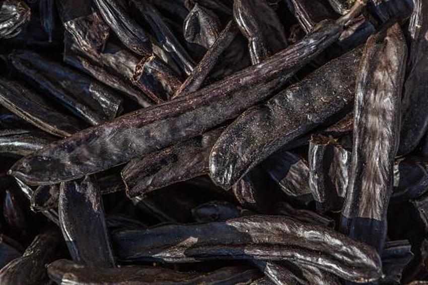 Akciğerleri temizliyor, diyabet ile savaşıyor! Kan şekerini düşürüyor, anemi için şifa! Günde bir kaşığı yetiyor, protein, fosfor, magnezyum, çinko...