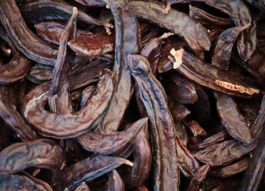 Akciğerleri temizliyor, diyabet ile savaşıyor! Kan şekerini düşürüyor, anemi için şifa! Günde bir kaşığı yetiyor, protein, fosfor, magnezyum, çinko...