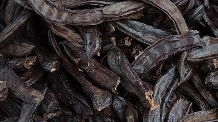Akciğerleri temizliyor, diyabet ile savaşıyor! Kan şekerini düşürüyor, anemi için şifa! Günde bir kaşığı yetiyor, protein, fosfor, magnezyum, çinko...