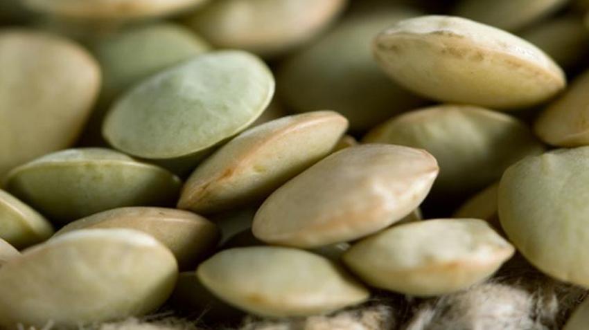 Evinizden eksik etmeyin! Testosteronu artırarak cinsel hayatı düzenliyor, kalp krizinin önüne geçiyor!  