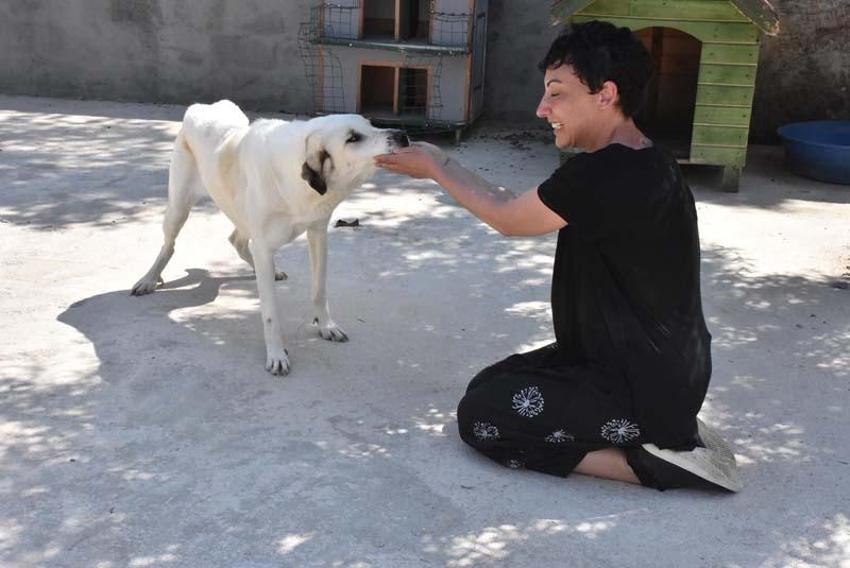 Can Bonomo'nun ablası, çiftliğinde 165 köpek ve 5 kedi ile yaşıyor