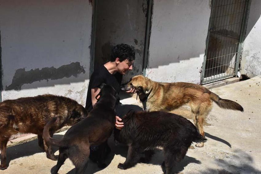 Can Bonomo'nun ablası, çiftliğinde 165 köpek ve 5 kedi ile yaşıyor