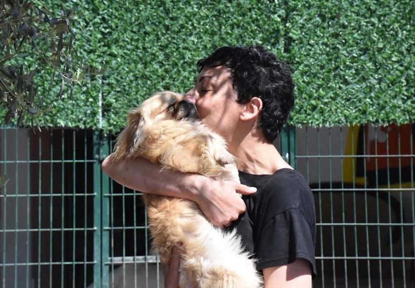 Can Bonomo'nun ablası, çiftliğinde 165 köpek ve 5 kedi ile yaşıyor