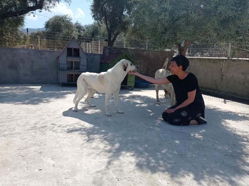 Can Bonomo'nun ablası, çiftliğinde 165 köpek ve 5 kedi ile yaşıyor