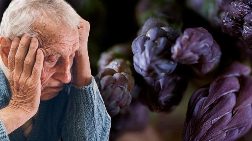 Alzheimer’dan koruyor, obezite, kalp rahatsızlığı, diyabet ve hipertansiyonu azaltıyor! Magnezyum, potasyum ve antioksidan...