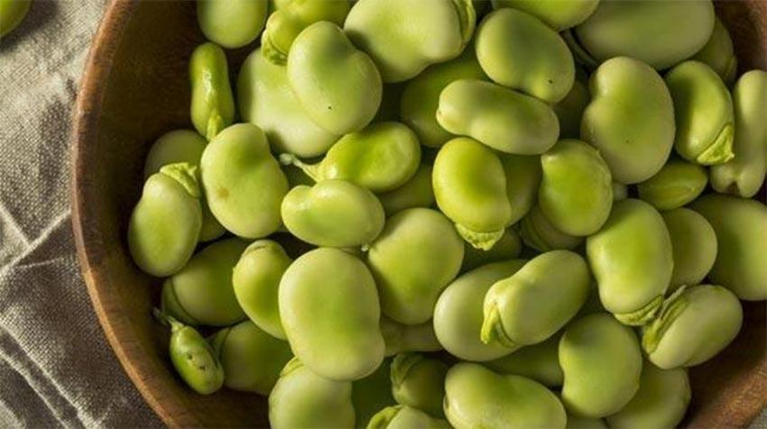 Tansiyon ve kolesterol düşürüyor, yedikçe ömrü uzatıyor! Hastalıklara karşı savaşçı, antioksidan zengini! A, C, B1, B2, B6 ve K vitaminleri...  