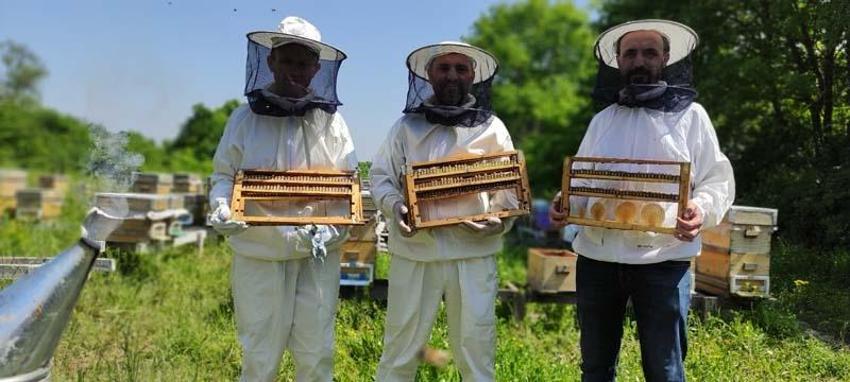 Kilosu 10 bin liradan satılıyor, talep patladı! Hücreleri yeniliyor, faydaları saymakla bitmiyor...