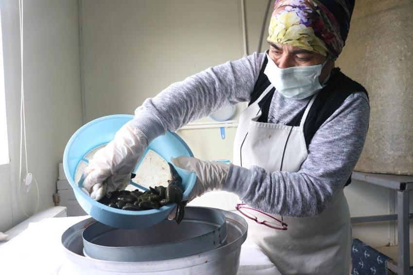 Paraya para demiyorlar! 5 milyon tane yurt dışına satıyor