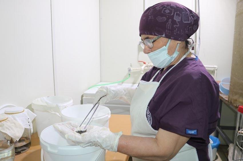 Paraya para demiyorlar! 5 milyon tane yurt dışına satıyor