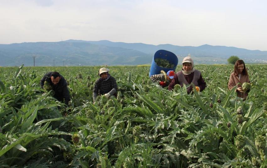 150 bin TL kazanıyorlar! Bu iş için özel ekip kurdular, Türkiye'de sadece 200 kişi yapıyor