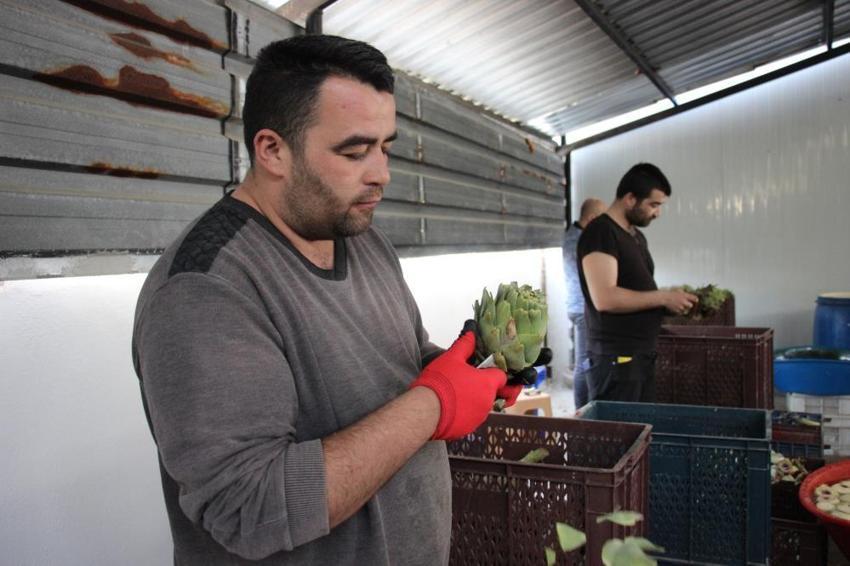150 bin TL kazanıyorlar! Bu iş için özel ekip kurdular, Türkiye'de sadece 200 kişi yapıyor