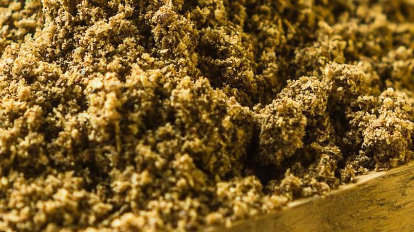 Hepsi demir deposu, vitamin ve mineral bakımından çok zengin! İşte sağlığa anında tavan yaptıracak besinler...
