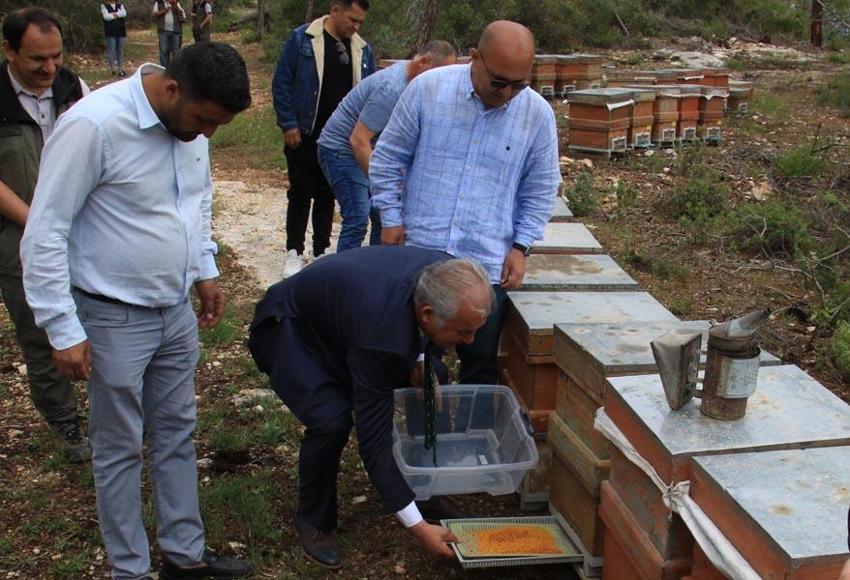 Menopoza, kansere, karaciğere, kalbe, bağışıklık sistemine iyi geliyor! Mucize besin! Kilosu 400 lira! Ve tezgahlara düştü