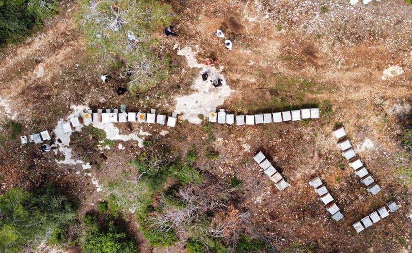 Menopoza, kansere, karaciğere, kalbe, bağışıklık sistemine iyi geliyor! Mucize besin! Kilosu 400 lira! Ve tezgahlara düştü