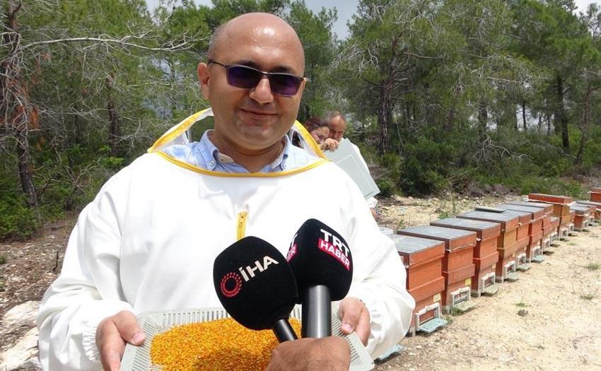 Menopoza, kansere, karaciğere, kalbe, bağışıklık sistemine iyi geliyor! Mucize besin! Kilosu 400 lira! Ve tezgahlara düştü