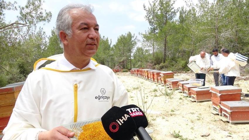 Menopoza, kansere, karaciğere, kalbe, bağışıklık sistemine iyi geliyor! Mucize besin! Kilosu 400 lira! Ve tezgahlara düştü