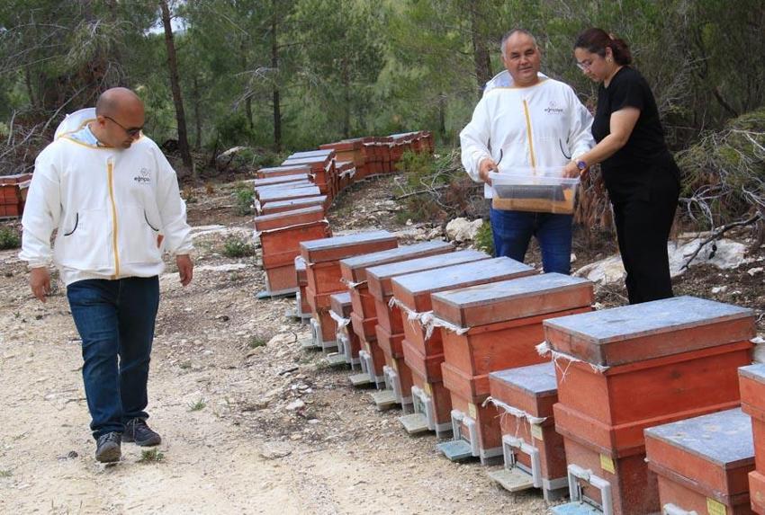 Menopoza, kansere, karaciğere, kalbe, bağışıklık sistemine iyi geliyor! Mucize besin! Kilosu 400 lira! Ve tezgahlara düştü