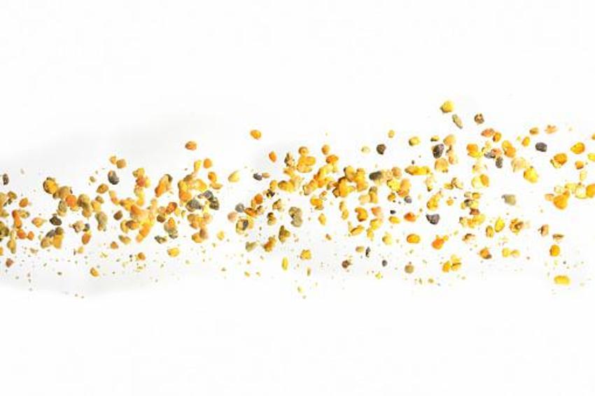 Menopoza, kansere, karaciğere, kalbe, bağışıklık sistemine iyi geliyor! Mucize besin! Kilosu 400 lira! Ve tezgahlara düştü