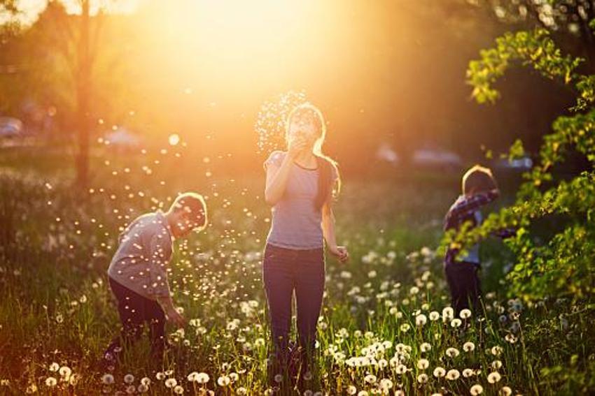 Menopoza, kansere, karaciğere, kalbe, bağışıklık sistemine iyi geliyor! Mucize besin! Kilosu 400 lira! Ve tezgahlara düştü