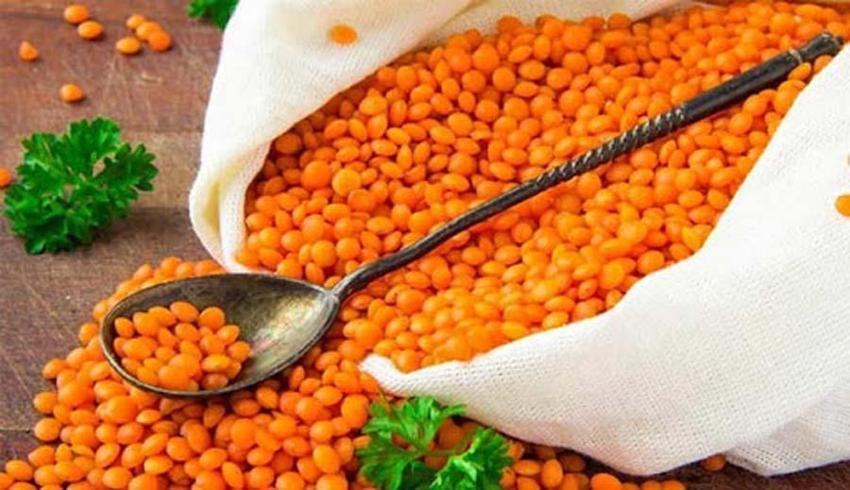 İllerin en meşhur ürünleri! İşte Türkiye'ye ürettikleri tarım ürünleriyle damga vuran şehirler...