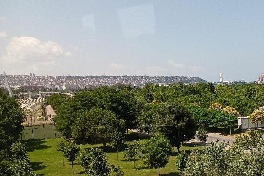 İllerin en meşhur ürünleri! İşte Türkiye'ye ürettikleri tarım ürünleriyle damga vuran şehirler...