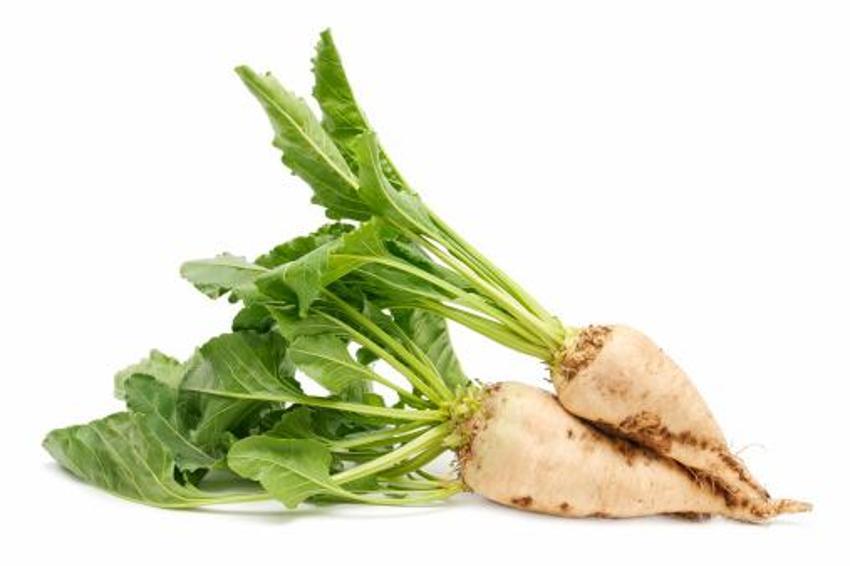 Alzheimer ve kanser riskini azaltıyor, Tip-2 diyabet ve kalp hastalıkları için doğal şifa, C, E, K vitamini, potasyum, magnezyum ve çinko...