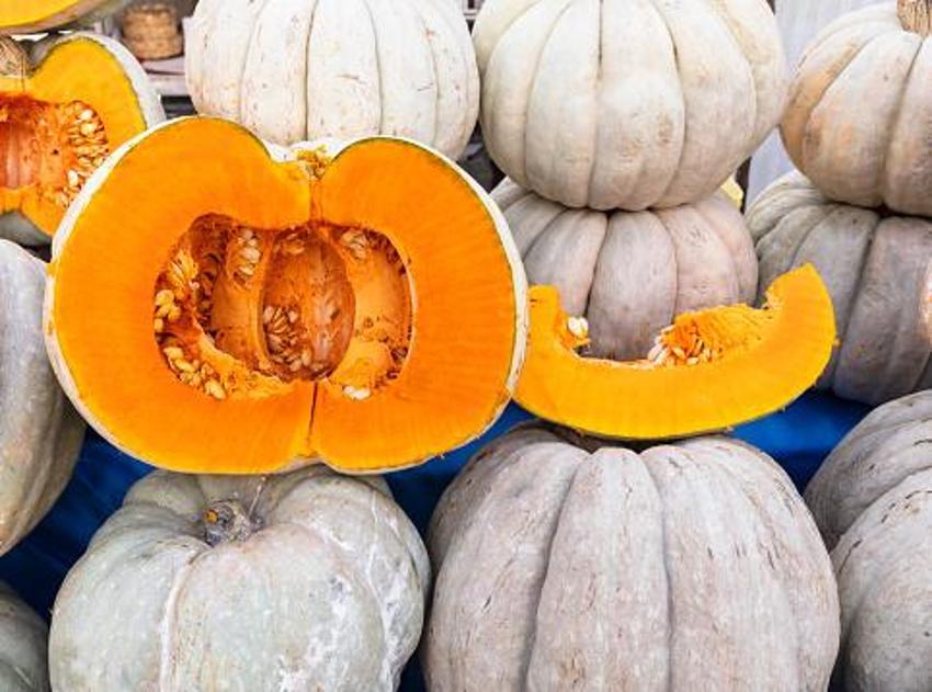 Alzheimer ve kanser riskini azaltıyor, Tip-2 diyabet ve kalp hastalıkları için doğal şifa, C, E, K vitamini, potasyum, magnezyum ve çinko...
