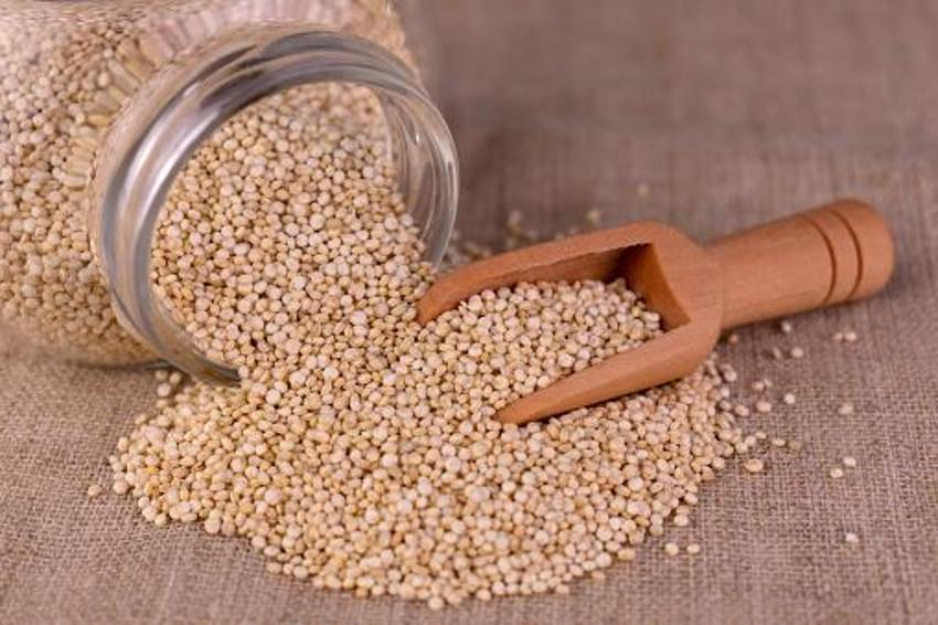 Alzheimer ve kanser riskini azaltıyor, Tip-2 diyabet ve kalp hastalıkları için doğal şifa, C, E, K vitamini, potasyum, magnezyum ve çinko...