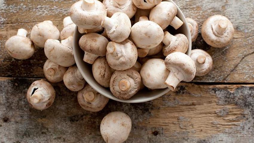Alzheimer ve kanser riskini azaltıyor, Tip-2 diyabet ve kalp hastalıkları için doğal şifa, C, E, K vitamini, potasyum, magnezyum ve çinko...