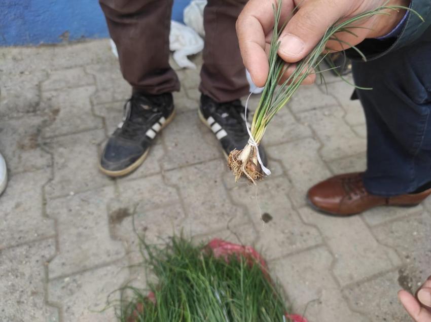 Paraya para demiyorlar! Kilosu 1.000 lira, 'yok satıyor, her derde deva...'