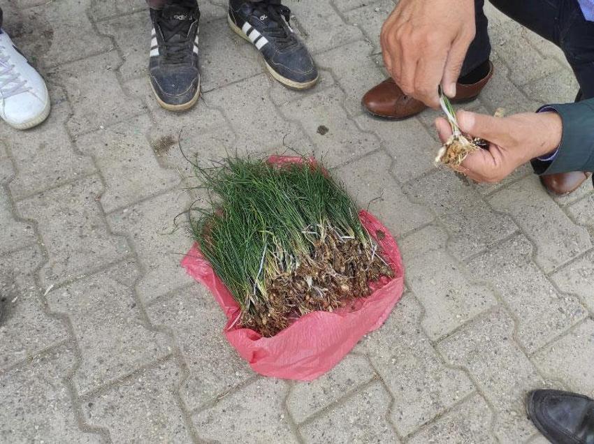 Paraya para demiyorlar! Kilosu 1.000 lira, 'yok satıyor, her derde deva...'