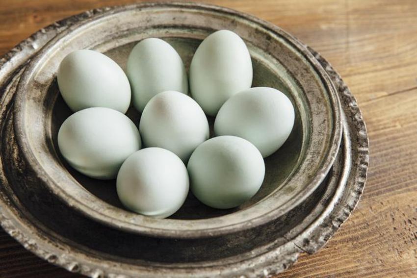 Beyin fonksiyonlarını geliştiriyor, Alzheimer riskini azaltıyor! Vitamin, demir, çinko, kalsiyum, folik asit ve protein bakımından çok zengin, meme kanserine karşı kalkan oluyor...
