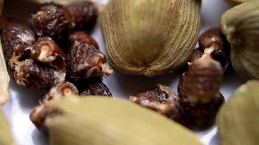  Libidoyu zıplatıyor! İşte afrodizyak etkisi ile cinsel gücü artıran besinler...  