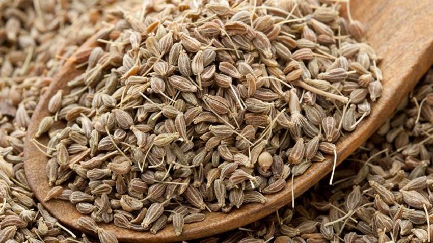 Kan dolaşımını düzenliyor, vücudu baştan aşağı temizliyor! Yaraları iyileştiriyor, iştah açıcı, uyku verici, anne sütünü artırıcı...  