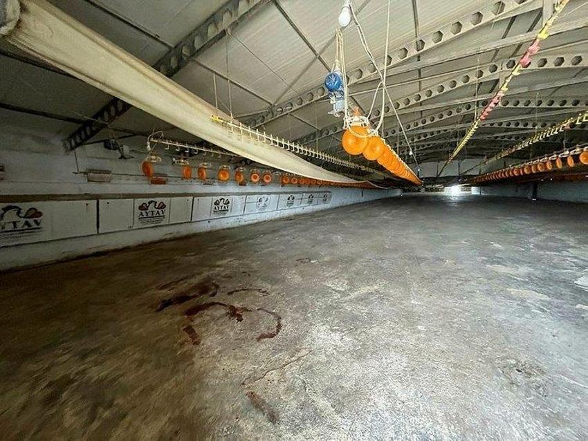 Çanakkale’de korkunç cinayet! Kamera kayıtları katilin oyununu bozdu!