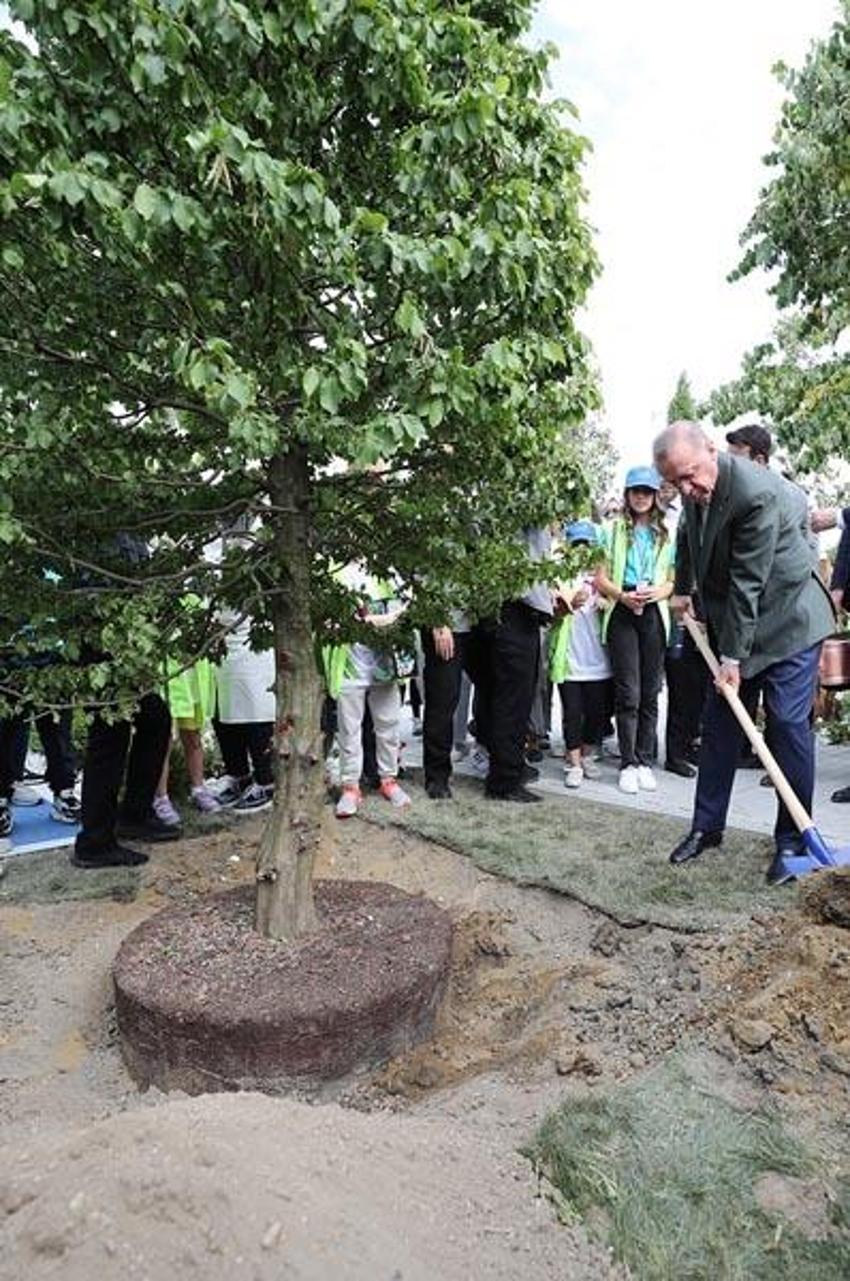 Cumhurbaşkanı Erdoğan, Atatürk Havalimanı Millet Bahçesi'ne ilk fidanı dikti