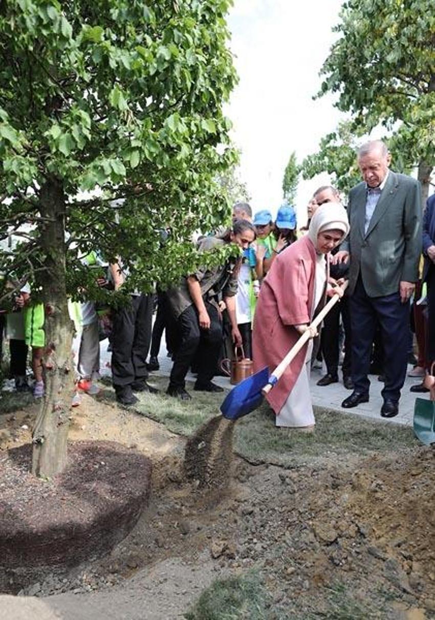 Cumhurbaşkanı Erdoğan, Atatürk Havalimanı Millet Bahçesi'ne ilk fidanı dikti
