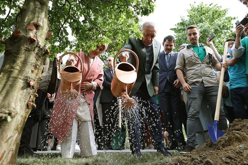 Cumhurbaşkanı Erdoğan, Atatürk Havalimanı Millet Bahçesi'ne ilk fidanı dikti