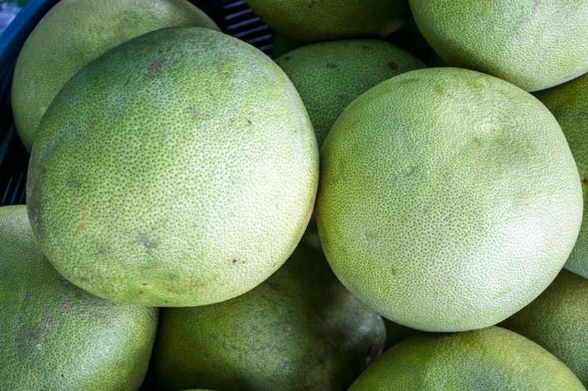 Kanser hücrelerini öldürmeye yardımcı oluyor, kan şekerini düzenleyerek yaşlanmayı geciktiriyor, kolesterolü azaltarak kalp sağlığını artırıyor! Antioksidanlar zengini, protein, vitamin, potasyum...  