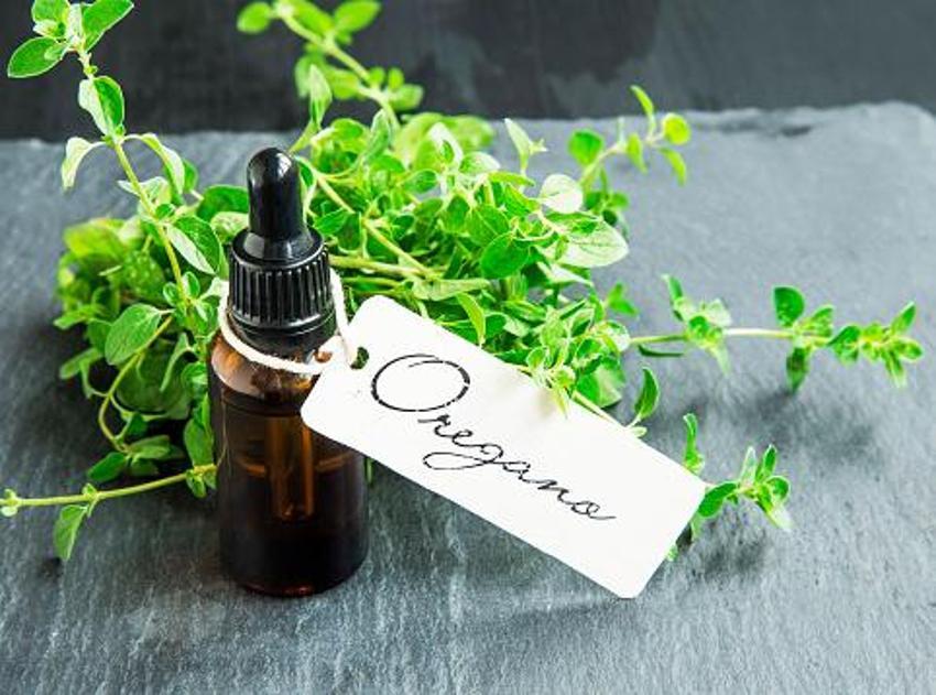 İltihabı söküp atıyor!  Troid ve Guatr için şifa, curcumin ve ibetain deposu, 1 çay kaşığı yetiyor