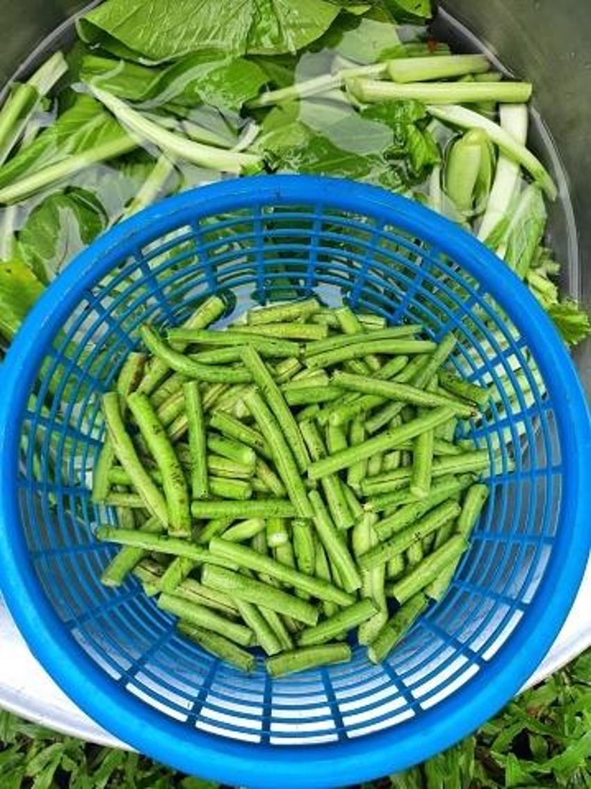 İltihabı söküp atıyor!  Troid ve Guatr için şifa, curcumin ve ibetain deposu, 1 çay kaşığı yetiyor